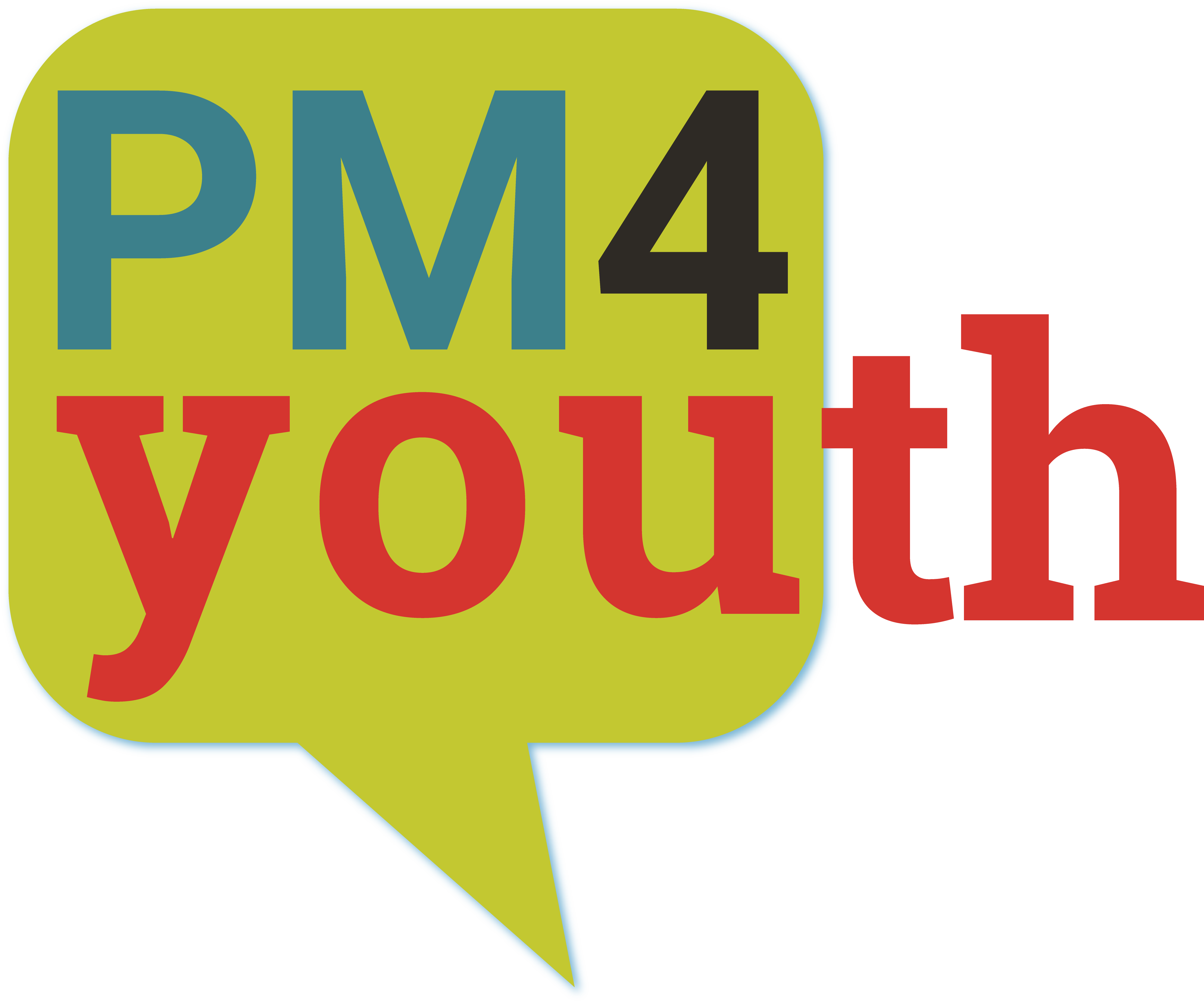 PM4youth logo